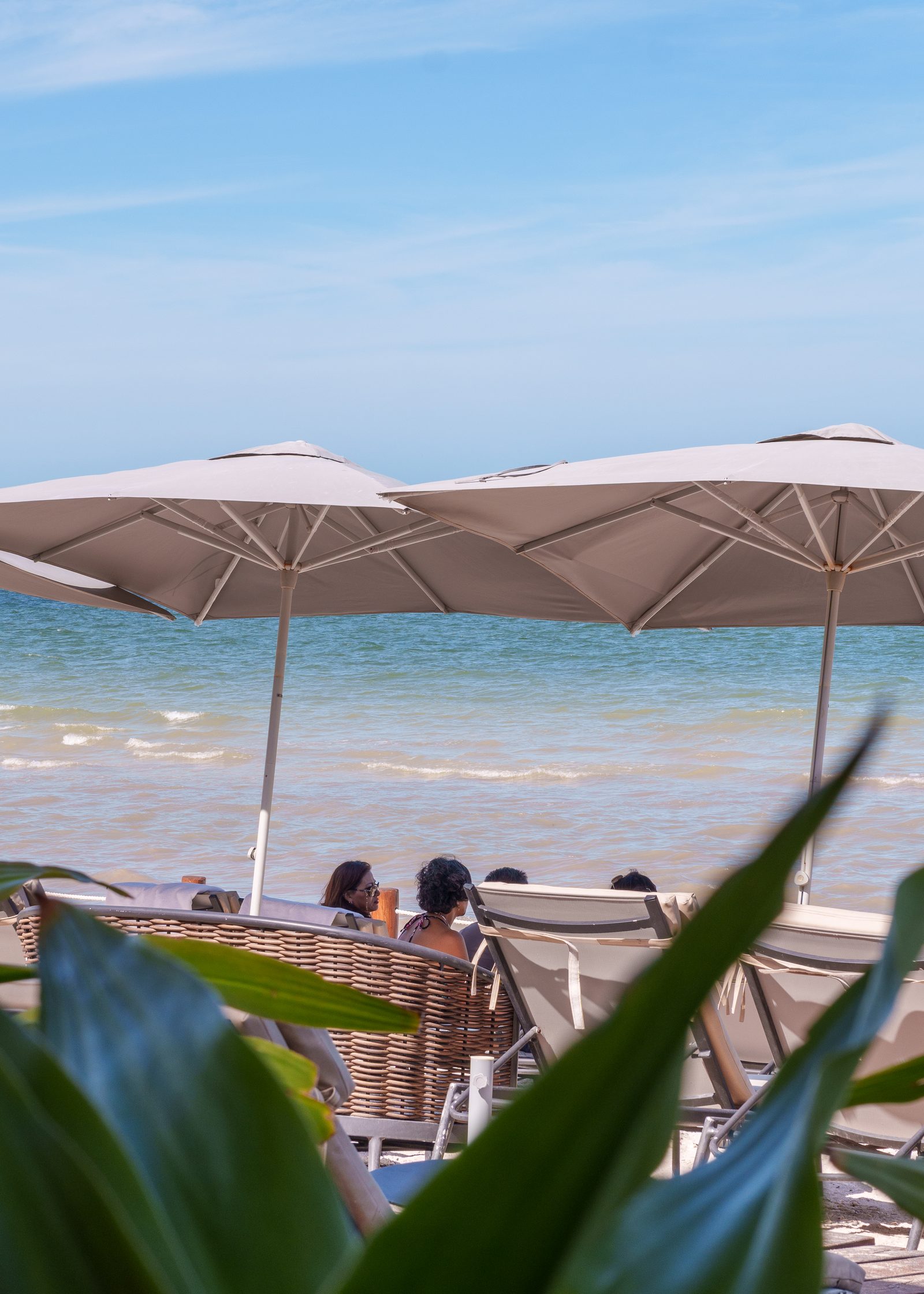 Terraza con camastros y sombrillas frente al mar en Playaviva Beach Club